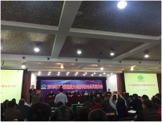 HJC888�ƽ�ǡ�(�й�����)����