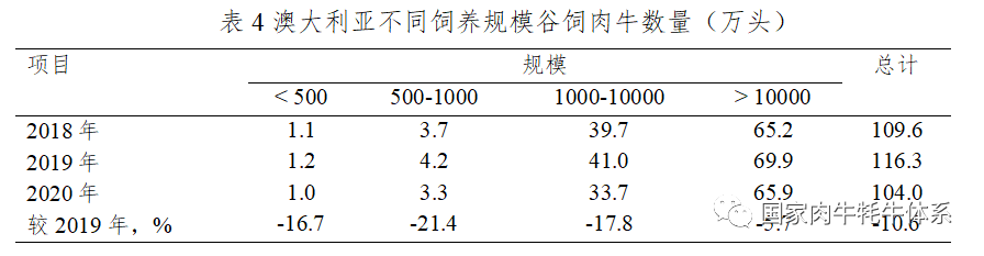 HJC888�ƽ�ǡ�(�й�����)����