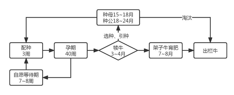 HJC888�ƽ�ǡ�(�й�����)����