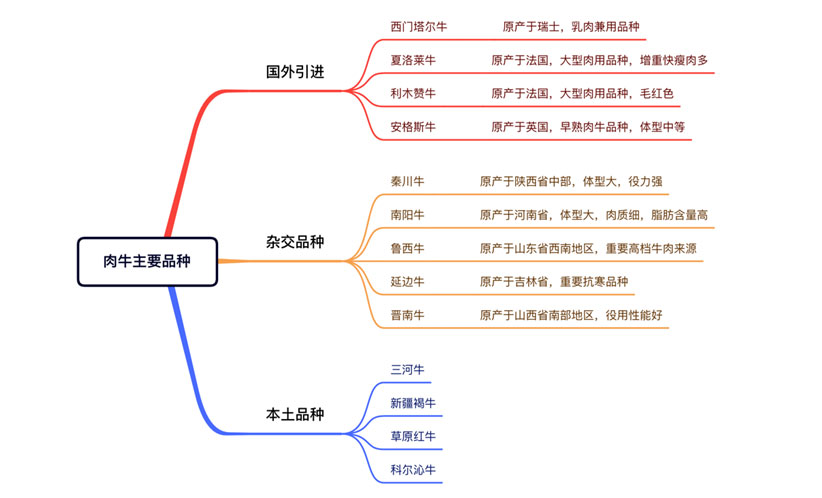 HJC888�ƽ�ǡ�(�й�����)����
