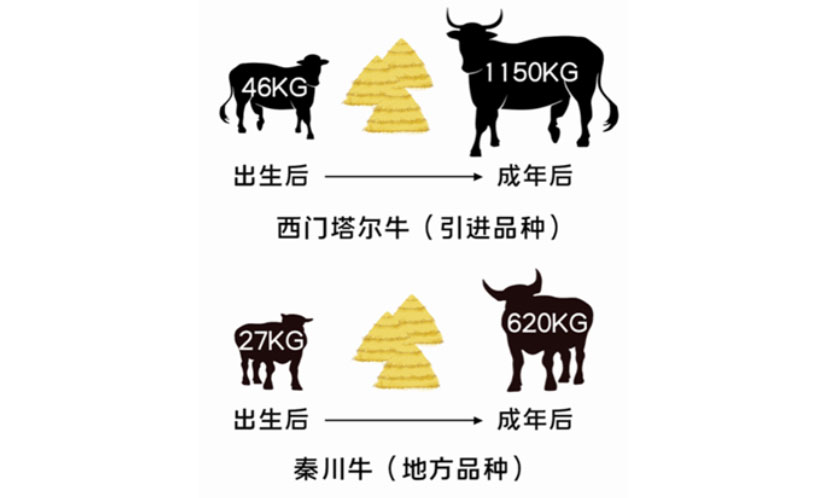 HJC888�ƽ�ǡ�(�й�����)����