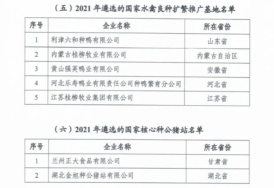 20220413160291119111 HJC888黄金城·(中国集团)官网